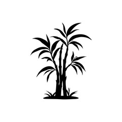 palm tree silhouette