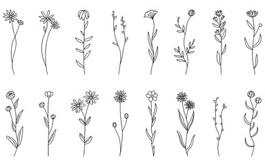 Botanical line art wildflowers seamless pattern vector illustration design