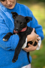 Woman wearing blue pullover holds black adopted puppy mixed breed on her hands