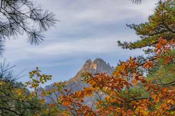 설악산 비룡폭포 단풍