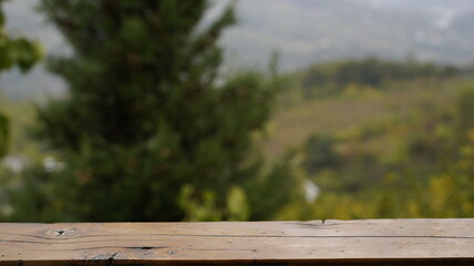 Empty Wooden Surface with a Blurred Natural Background