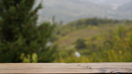 Empty Wooden Surface with a Blurred Natural Background