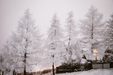 frozen snowy winter night with lights