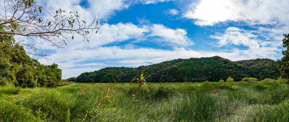 静岡県磐田市の鶴ケ池のパノラマ写真

