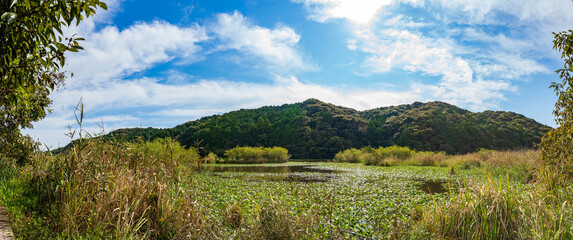 Fototapete bei efototapeten.de bestellen   