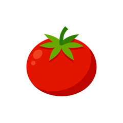 Illustration of a single red tomato fruit