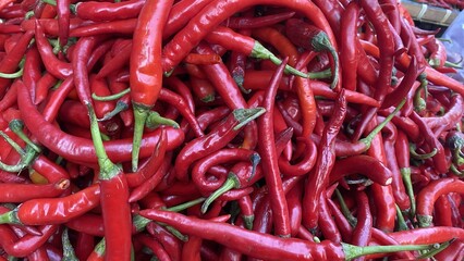 Red Chili Peppers Display in Market Market with Bright Colorful Fresh Vegetables