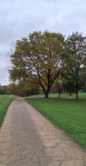 path in the park