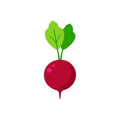 Illustration of a single red beet plant on transparent background