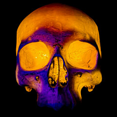 The Glowing Purple and Orange Halloween Skull