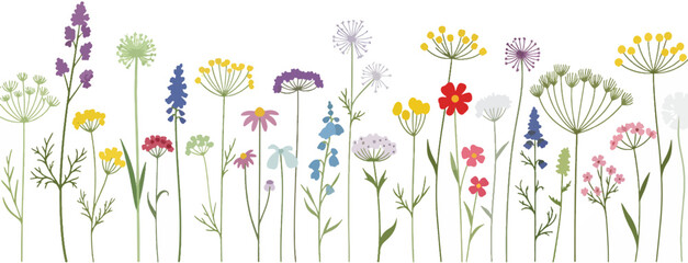 Illustration of a variety of colorful wildflowers, meadow flowers in bloom