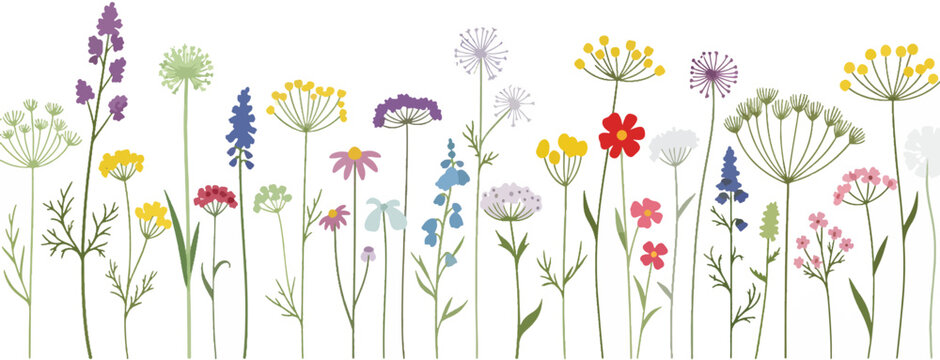 Illustration of a variety of colorful wildflowers, meadow flowers in bloom