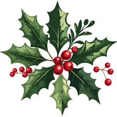 Watercolor Holly Leaves and Red Berries Christmas Illustration