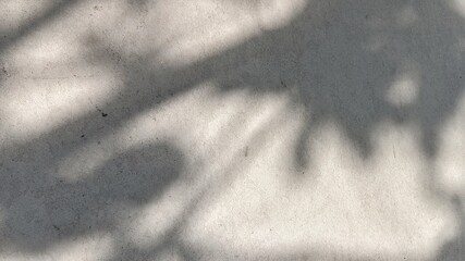 Abstract texture of deep shadows from foliage cast onto a bright, light-colored concrete surface.