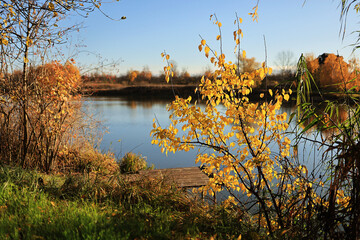 Colorful autumn trees and a wooden dock on a quiet pond