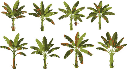 Banana tree illustrations, tropical plant variations, green leaf patterns, fruit-bearing trees, botanical design elements, agricultural reference graphics