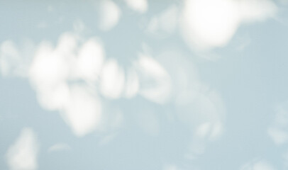 Blue Background,Shadow nature, soft light on light blue wall studio room.Mininal clean design for...