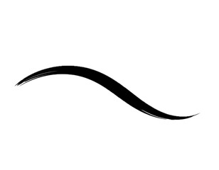 Hand drawn black calligraphy swoosh isolated on white background