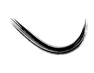 Hand drawn black calligraphy swoosh isolated on white background