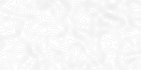 Minimal white line geometric grid outline curve counter map and wavy topography relief discovery area white, black line texture background.	
