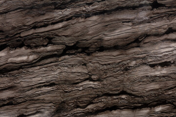 Sequoia Brown Quartzite background, texture in brown tone for your design work.