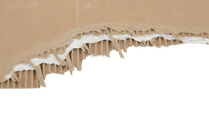 Torn Edge of Corrugated Cardboard Revealing Inner Fluting.