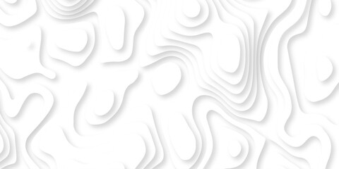 Abstract white paper cut background with lines. Background of the topographic map. White wave paper curved reliefs abstract background. Realistic papercut decoration textured with wavy layers.	