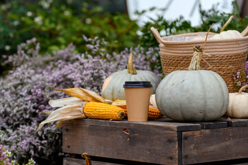 Autumnal decoration made of different vegetables and plants. Agriculture on autumn or summer