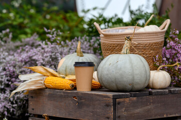 Autumnal decoration made of different vegetables and plants. Agriculture on autumn or summer
