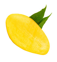Top view of ripe yellow mango fruit in half with green mango leaves isolated on white background with clipping path
