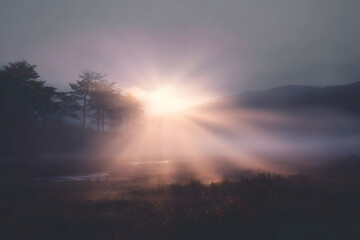 Fototapeta premium gentle sunrise breaking through soft morning fog creating a serene visual metaphor for hope renewal and human resilience