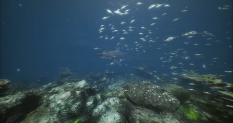 A shark gracefully glides through the crystal clear ocean, surrounded by a bustling school of fish. The rocky seabed adds depth to the underwater landscape, showcasing marine life.