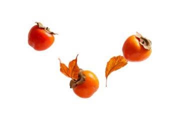 Fresh ripe persimmons with orange autumn leaves isolated on transparent background