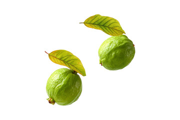 Fresh green guavas with yellow leaves isolated on transparent background