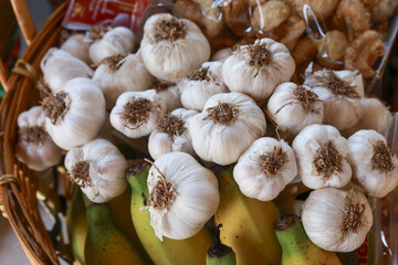 Close up view of fresh raw garlic bulb in wicker basket at local market. aromatic food ingredient is piled high with yellow banana, creating natural, healthy display