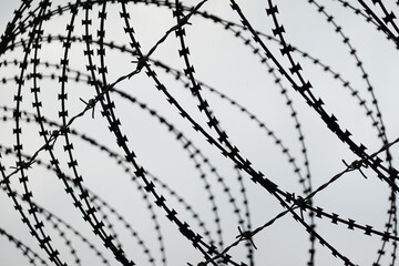 barbed wire on the background of the sky, close-up