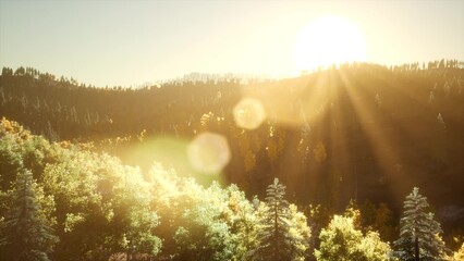 Fototapeta premium Golden sunlight breaks over mountains, casting warm rays through lush treetops. Nature awakens as day begins, illuminating the forest with a peaceful glow and soft colors.