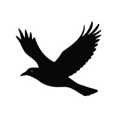 Obraz premium Dramatic black silhouette of a crow in flight against a white background