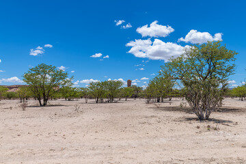 Sand road in the Ugab River valley, Namibia