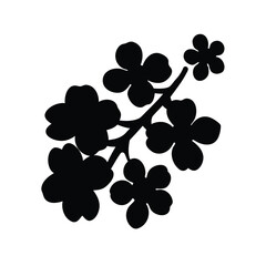 Silhouette of a flowering branch with several blooms on a white backdrop