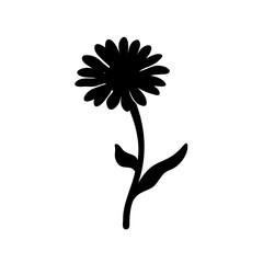 Silhouette of a Delicate Daisy Flower on a White Background