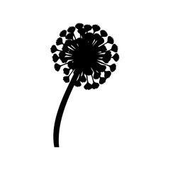 Monochromatic Dandelion Silhouette Against a White Background with Stylized Seed Heads