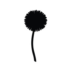 Silhouette of a Dandelion Flower with Fluffy Seed Head on a White Background