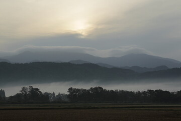 夜明け前の田んぼに差し込む光