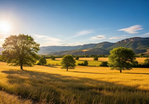 Golden wheat field bathed in sunlight with rolling hills and trees under a blue sky