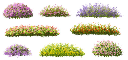 Vector of tree or blooming  side view isolated on white background ,watercolor tree elevation for landscape concept,environment scene,eco design,blossom garden for spring