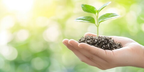 A hand supports a small green plant growing in soil, symbolizing growth, care, and environmental awareness amidst a soft, blurred background.