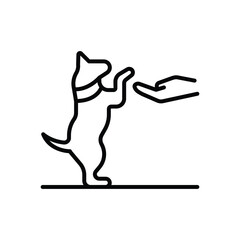 Dog standing extending a paw toward a hand