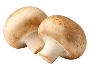 brown mushrooms isolated on transparent white background full depth of field clipping path