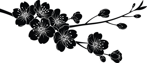 Vector cherry blossom branch silhouette with flowers and buds, Japanese sakura floral design illustration for spring nature art and decoration © Sammi's World